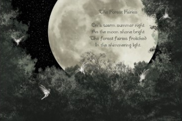 The Forest Fairies print